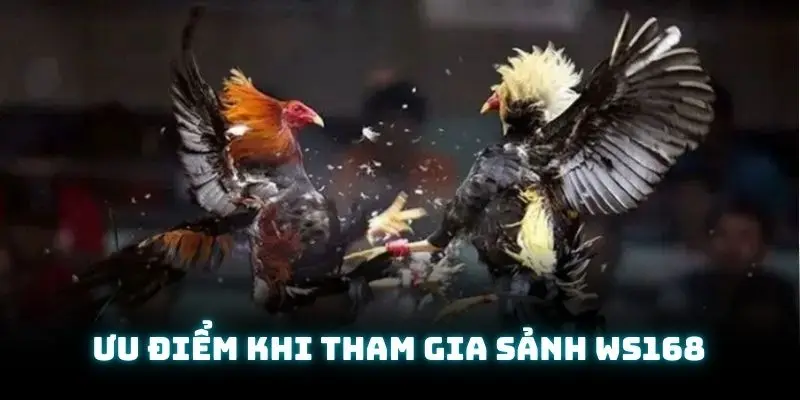 Hội viên đánh giá rất cao sân chơi vì có nhiều điểm tuyệt vời