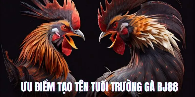 Trường gà BJ88 lý do thu hút nhiều người tham gia